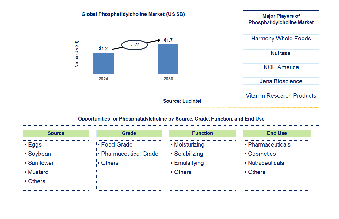 Phosphatidylcholine Trends and Forecast